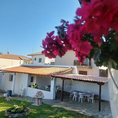 Garden Stay Agios Pavlos  외부 사진